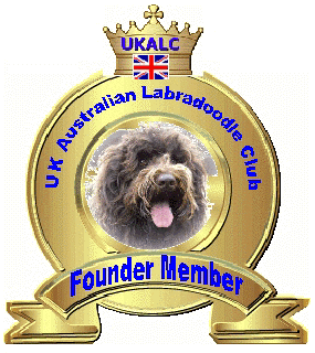 labradoodle puppies for sale,labradoodle breeder,labradoodle breeders, labradoodles uk, Australian labradoodle breeder,Australian labradoodle breeders,Australian labradoodle puppies for sale, Australian labradoodles. Holland,london,essex,france, labradoodle forums. 